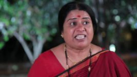 Bhagyalakshmi (Colors Kannada) S01 E259 Tandav's shocking move!