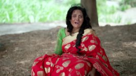 Haiwan S01 E103 23rd September 2023
