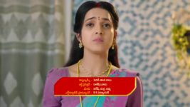 Krishnamma Kalipindhi Iddarini S01 E109 Gowri and Eeswar's Joyful Moments