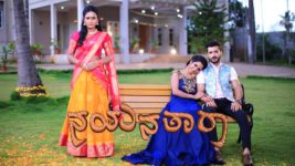 Nayanatara (kannada) S01 E820 19th September 2023