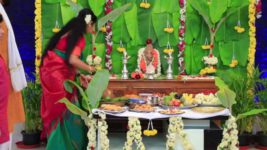 Bhagyalakshmi (Colors Kannada) S01 E285 Truth unleashed!