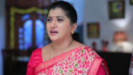 Bhagyalakshmi (Colors Kannada) S01 E290 Tandav is out of the house
