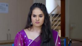 Ramachari S01 E454 Vyshaka blames Charu