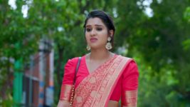 Ramachari S01 E446 Deepa and Vyshaka's thoughts on Charu