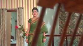 Koilamma S03E48 Bhadra's Police Sketch Is Out Full Episode