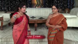 Koilamma S05E49 Sindhu Supports Krishna Full Episode