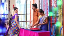 Pandian Stores S01E53 Meena at the Wedding Venue Full Episode