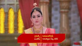 Renuka Yellamma (Star Maa) S01 E221 Narada Condemns Renu Maharaja