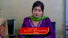 Yeda Loyallo Indradhanasu S01 E239 Amulya Pleads with Deva