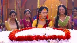 Radha Krishna (Tamil) S01E154 Krishna, Radha's Celebrations Full Episode