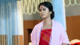 Debi Choudhurani S01E37 Brajeshwar's Haldi Ceremony Full Episode