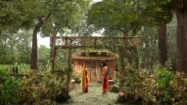 Siya Ke Ram S06E28 Lakshman Leaves Sita Alone Full Episode