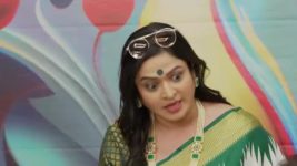 Chotya Bayochi Mothi Swapna S01 E484 Saudamini Questions Bayo