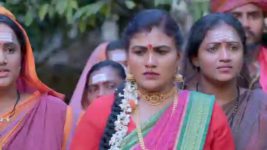 Renuka Yellamma (Star Maa) S01 E303 Mahadeva, Parvathi Rejoice