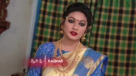 Agni Sakshi S01E35 Shanker is Smitten by Gowri Full Episode