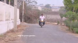 Agni Sakshi S01E659 Gowri's Conditions to Shanker Full Episode
