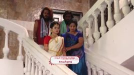 Agni Sakshi S01E683 Shanmukha Hurts Himself Full Episode