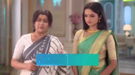 Gramer Rani Binapani S01E313 Shaibal, Chandrima Get Arrested Full Episode