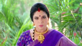 Kumkuma Puvvu (Maa Tv) S01 E06 Jayanthi is in for a Shock!