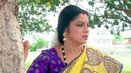 Kumkuma Puvvu (Maa Tv) S01 E09 Amrutha Admitted to Hospital