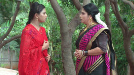 Kumkuma Puvvu (Maa Tv) S06 E60 Jayanthi Seeks Forgiveness