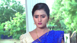 Kumkuma Puvvu (Maa Tv) S06 E67 Amrutha Comforts Jayanthi