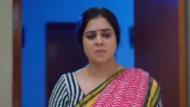 Madhuranagarilo (Star Maa) S01 E322 Radha's Concern for Pandu