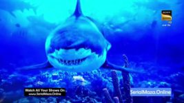 Shark Tank India S03 E48 Captivating The Sharks