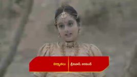 Renuka Yellamma (Star Maa) S01 E335 Karthaveerya to Perform a Yagya