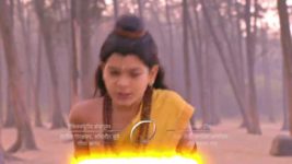 Ram Siya Ke Luv Kush S01E132 29th January 2020 Full Episode